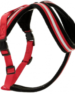 Company of Animals Comfy Harness Red Large