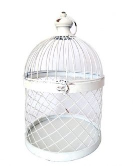 Campos 37Cm Metal Dome Top Hanging Bird Cage