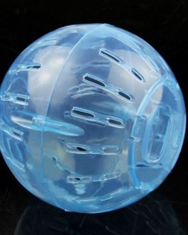 Mini Exercise Ball for Small Animal Pet