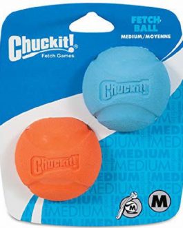 Chuckit Fetch Ball 2pk Medium