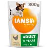 lams-adult