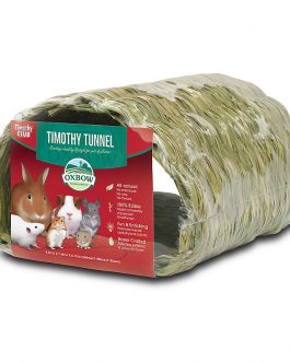 timothy-tunnel